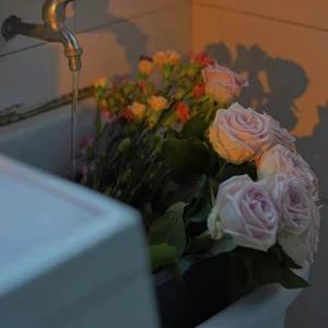 美女的翘臀被踩爆
