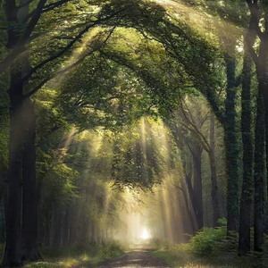 美女的翘臀被踩爆
