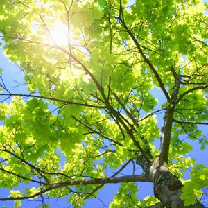 美女的翘臀被踩爆
